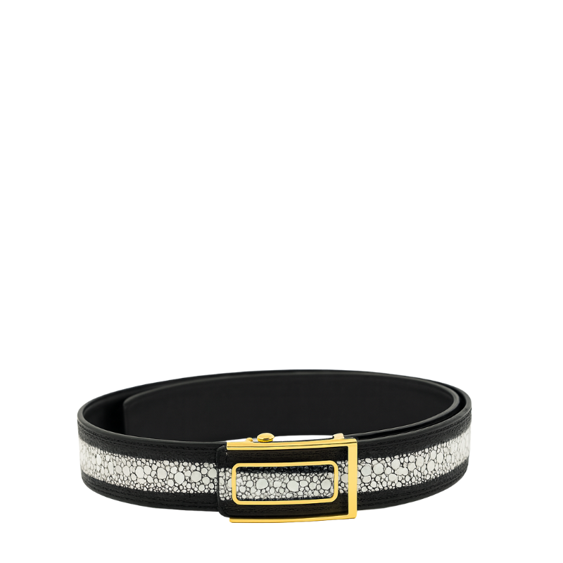 Dual Shade Strap Leather Belt with Golden Regal Frame Buckle