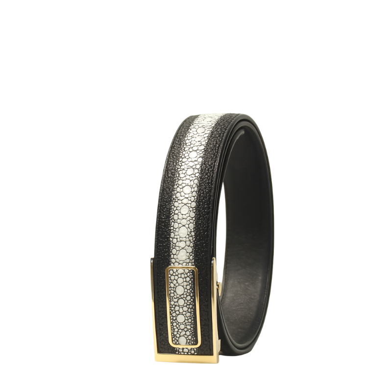 Dual Shade Strap Leather Belt with Golden Regal Frame Buckle