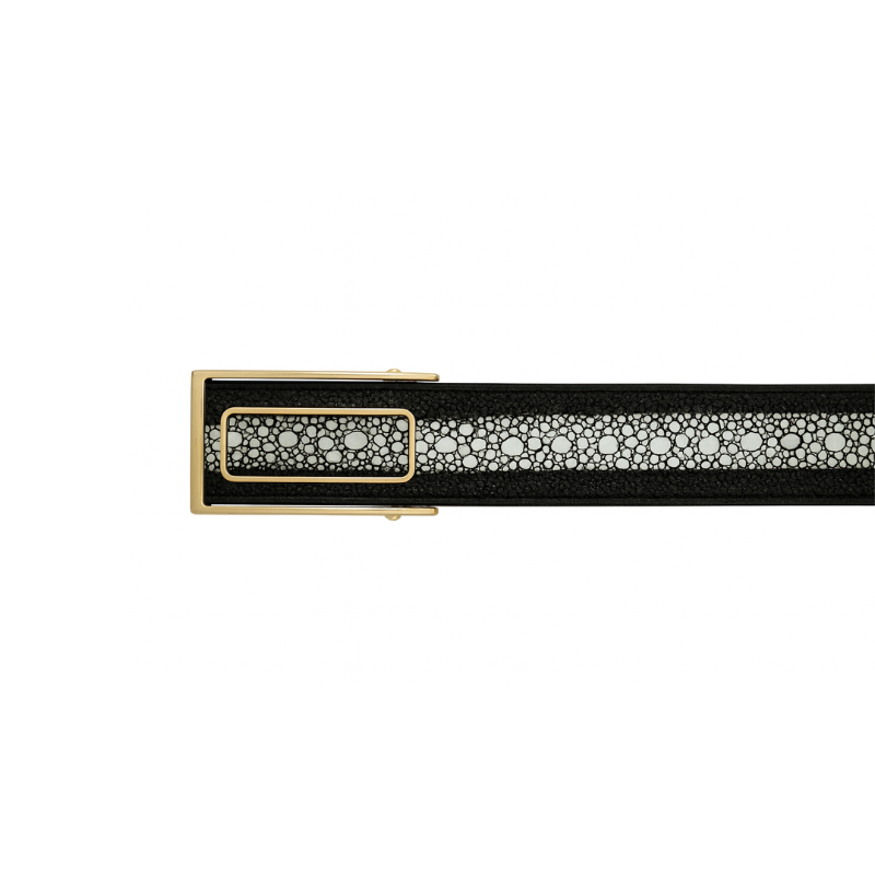 Dual Shade Strap Leather Belt with Golden Regal Frame Buckle